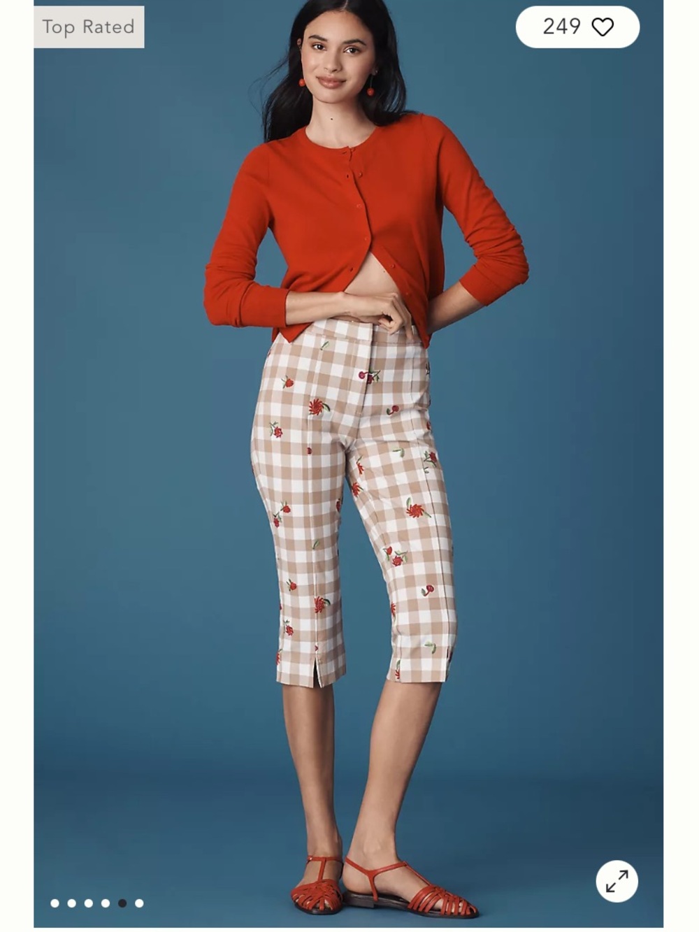 MAEVE Pants Capris NEW Gingham Embroidery Red Rose Anthropologie Exclusive 0